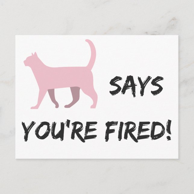 Pussy cat says you're fired! Postcard (Front)