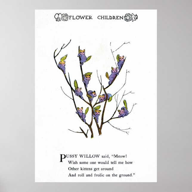 Pussy Willow Poster (Front)