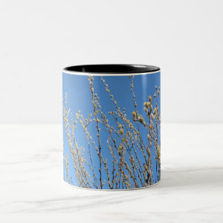 Pussy Willow Two-Tone Coffee Mug