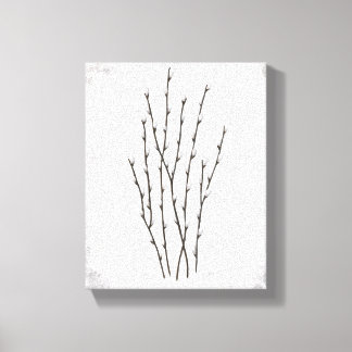 Pussywillows Canvas Print