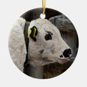 Pustertal Pied Calf Ceramic Tree Decoration