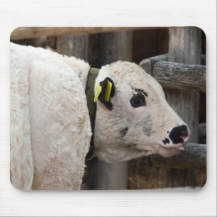 Pustertal Pied Calf Mouse Mat