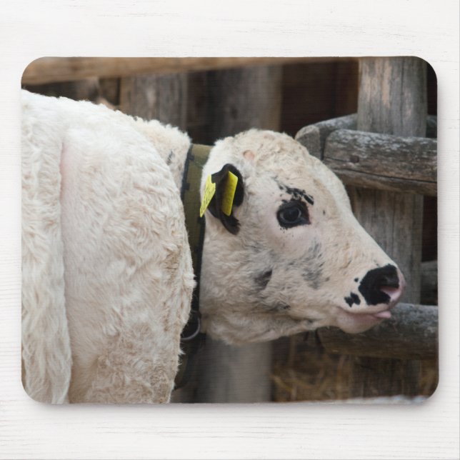 Pustertal Pied Calf Mouse Mat (Front)