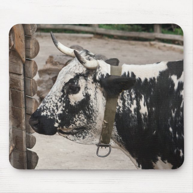Pustertal Pied Cow Mouse Mat (Front)