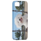 Put In Your Own Photo iPhone 5 Case