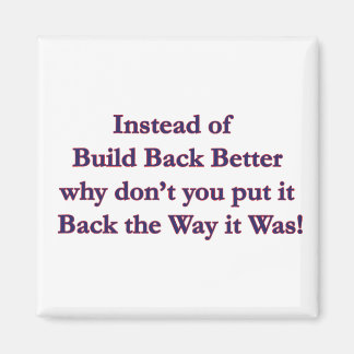 Put-It-Back Magnet