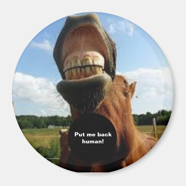 Put me back human! Horse Magnet (Front)
