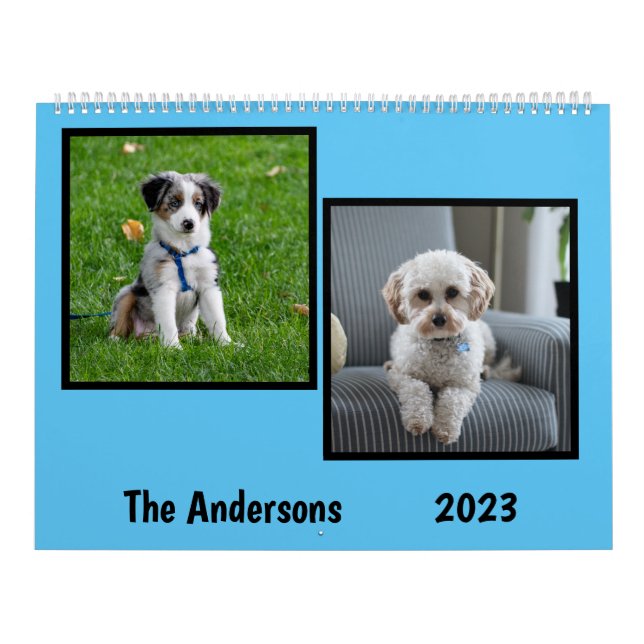 Put my Dog Pictures Every Month Calendar (Cover)