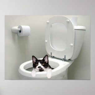 Put the lid down poster