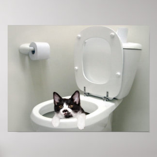 Put the lid down poster