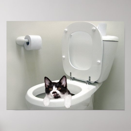 Put the lid down poster Zazzle.co.uk