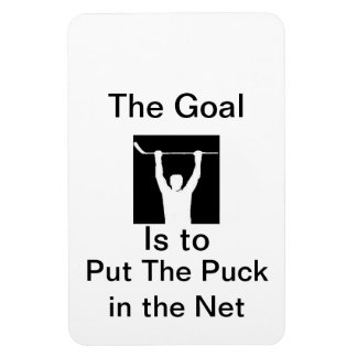 Put the puck in the net magnet