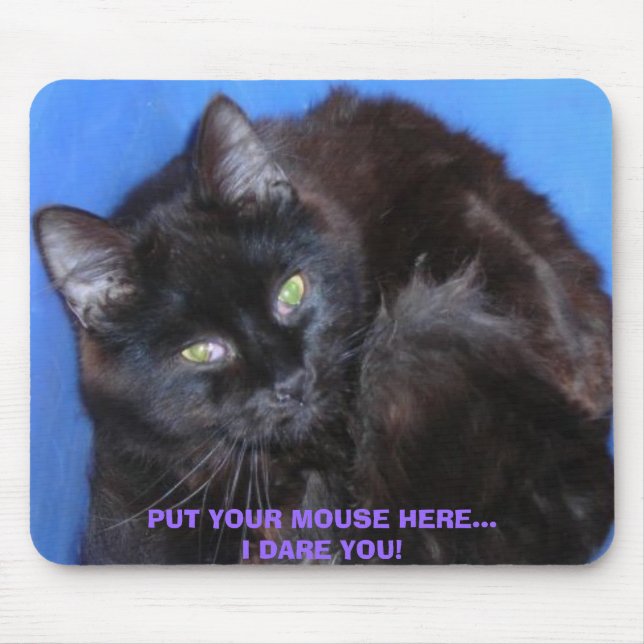 PUT YOUR MOUSE HERE...I DARE YOU! CHOCOLATE CAT MAT (Front)