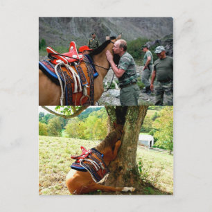 Putin And A Horse  Владимир Путин Поцелуй Смерти Postcard