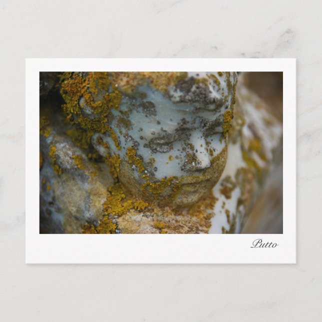 Putto • Postcard (Front)