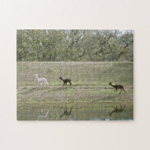 Puzzle - Alpacas on the Hill