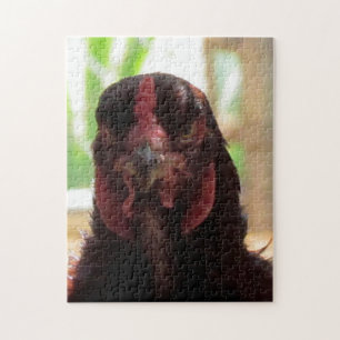 Puzzle - Angry Chicken