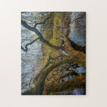 puzzle ‘Árboles del agua - Parque en Ámsterdam’