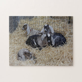 Puzzle Baby Goats