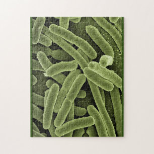 Puzzle bacterias e.coli microscopio