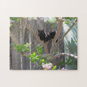 Puzzle - Black Cat in Tree