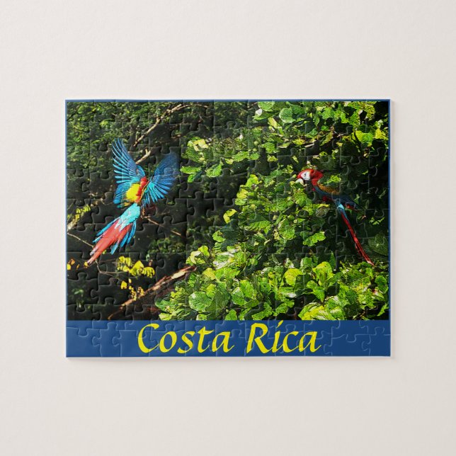 Puzzle Box Scarlet Macaws (Horizontal)