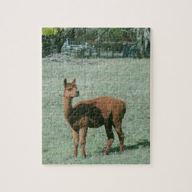 Puzzle - Brown Alpaca in Field (Vertical)