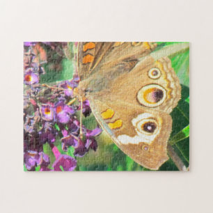 Puzzle - Buckeye Butterfly