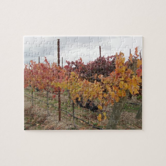 Puzzle: California Vineyard before Harvest in Nov Jigsaw Puzzle (Horizontal)
