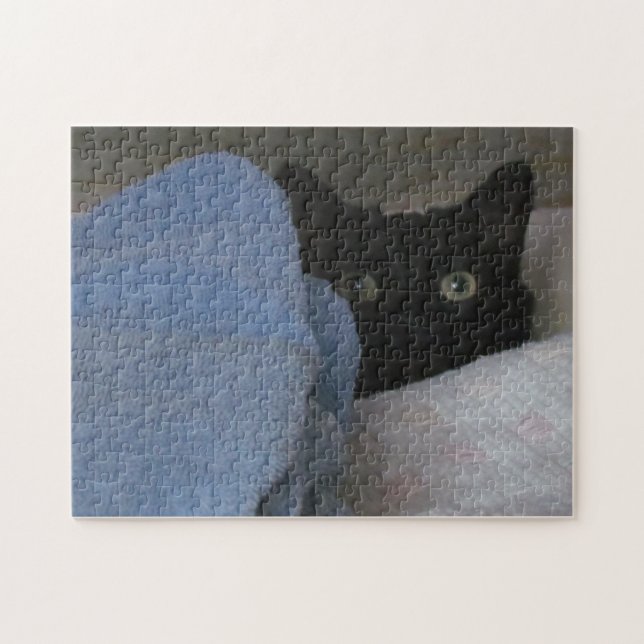 Puzzle - Closet Hideout (Horizontal)