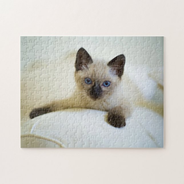 Puzzle-Kitten Jigsaw Puzzle (Horizontal)