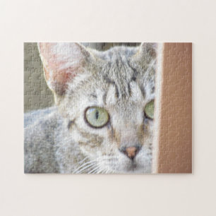 Puzzle - Kitten Portrait
