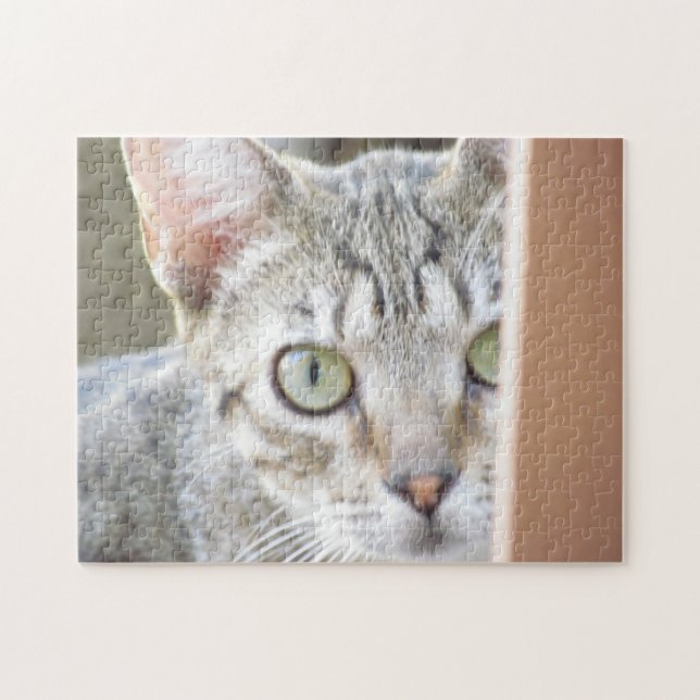 Puzzle - Kitten Portrait (Horizontal)
