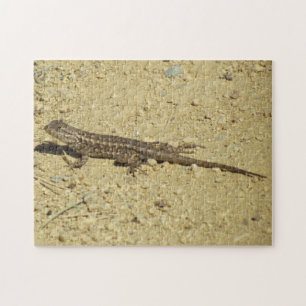 Puzzle - Lizard on Dirt Path