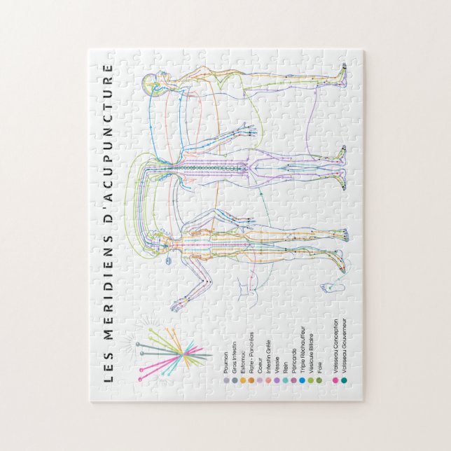 Puzzle Méridiens d'Acupuncture, médecine chinoise (Vertical)