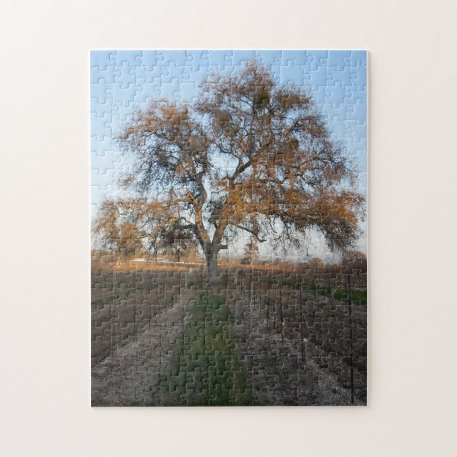 Puzzle: Oak inVineyard with Mistletoe Jigsaw Puzzle (Vertical)