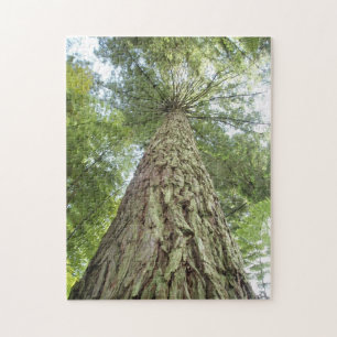 Puzzle of beautiful trees