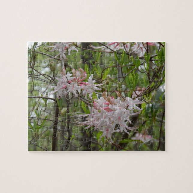 Puzzle of pink honeysuckles (Horizontal)