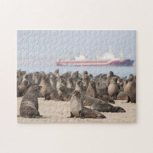 Puzzle of Seal Colony in front of Ship