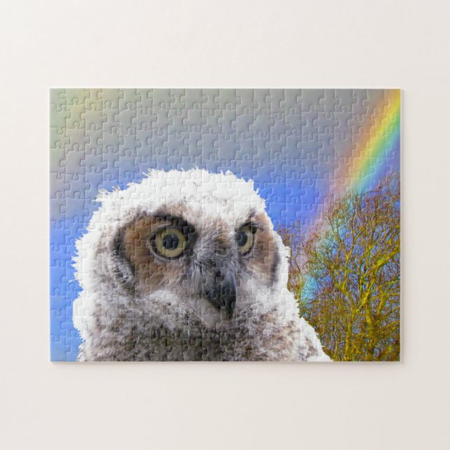 Puzzle - Owl with Rainbow Background (Horizontal)