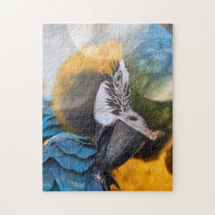 Puzzle Parrot Color Bird