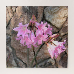 Puzzle - Pink Amaryllis