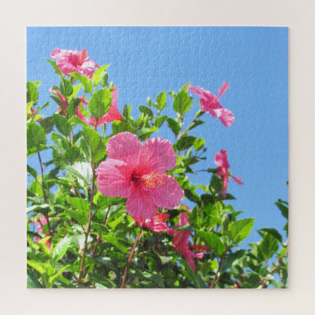 Puzzle - Pink Hibiscus Blossoms (Vertical)