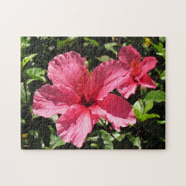 Puzzle - Pink Hibiscus Blossoms (2) (Horizontal)