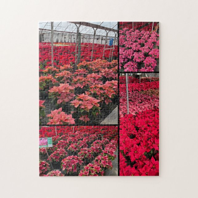 Puzzle Poinsettia Greenhouse Red Flowers (Vertical)