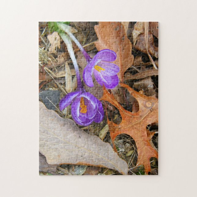 puzzle - Purple Crocuses (Vertical)