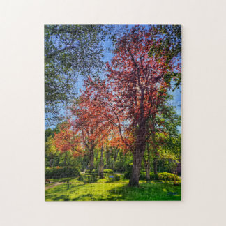 puzzle "Rincón de luz - Einbeck en primavera"