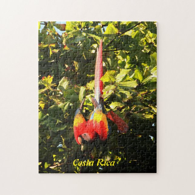 Puzzle Scarlet Macaw (Vertical)