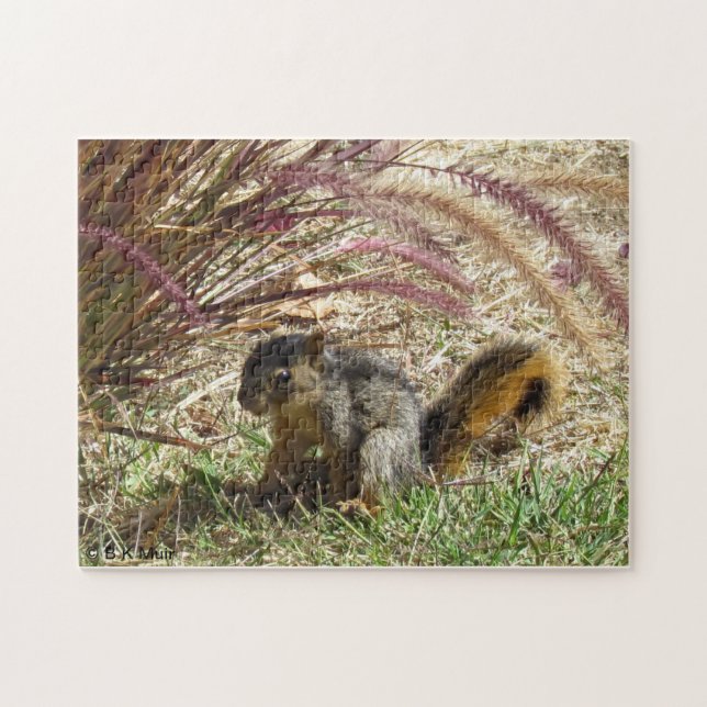 Puzzle - Squirrel in the shade (Horizontal)