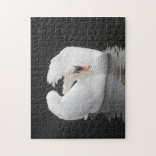 Puzzle Swan Swimming
